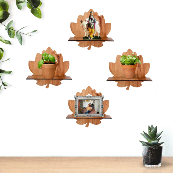 TRYANGLE Plant ON Beautiful Home Wall Looking Adorable of Wall Shelves