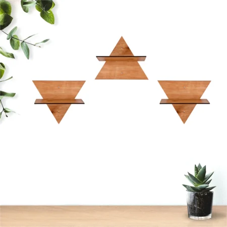 TRYANGLE Plant ON Beautiful Home Wall Looking Adorable of Wall Shelves