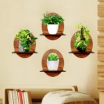 Oval Shape Wall Shelves.