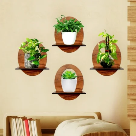 Oval Shape Wall Shelves.