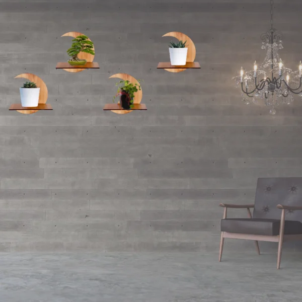 Modern Wooden Showcase for Home Decor. - Image 7
