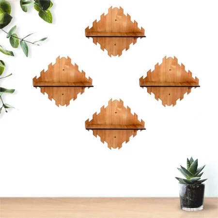 Modern Showcase Wall Shelves.