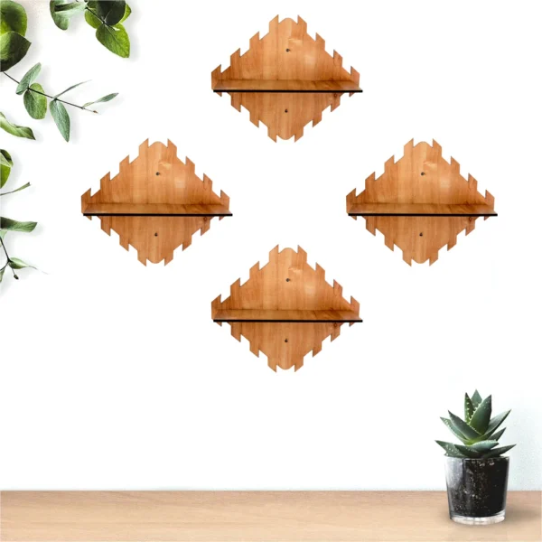 Modern Showcase Wall Shelves.